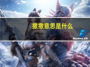 撒撒意思是什么