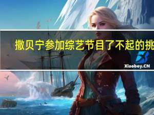 撒贝宁参加综艺节目了不起的挑战（撒贝宁参加综艺节目）