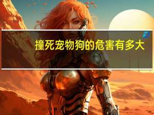 撞死宠物狗的危害有多大