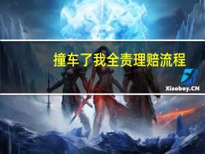 撞车了我全责理赔流程