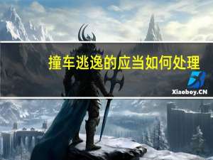 撞车逃逸的应当如何处理