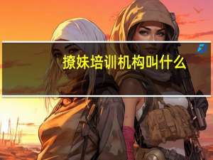 撩妹培训机构叫什么