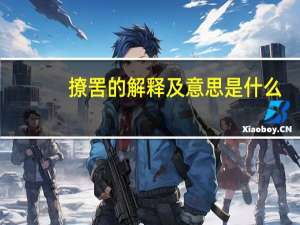 撩罟的解释及意思是什么