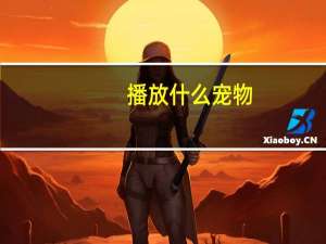 播放什么宠物