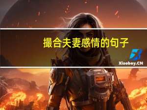 撮合夫妻感情的句子