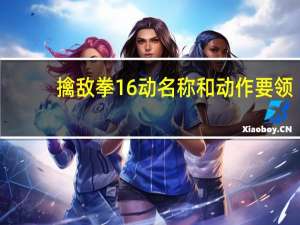 擒敌拳16动名称和动作要领（擒敌拳16动名称）