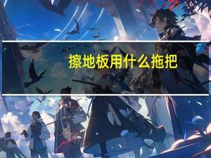 擦地板用什么拖把