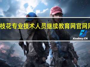 攀枝花专业技术人员继续教育网官网网站地址（攀枝花专业技术人员继续教育网）