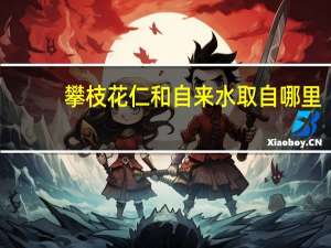 攀枝花仁和自来水取自哪里
