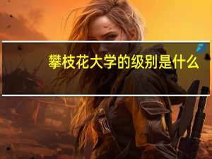 攀枝花大学的级别是什么