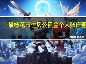 攀枝花市住房公积金个人账户查询（攀枝花住房公积金个人账户查询）
