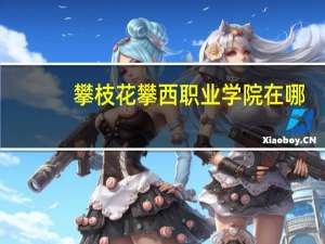 攀枝花攀西职业学院在哪