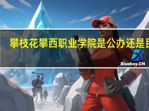 攀枝花攀西职业学院是公办还是民办