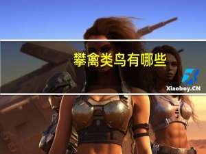 攀禽类鸟有哪些