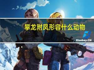 攀龙附凤形容什么动物