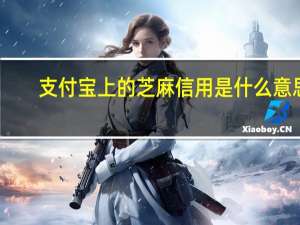 支付宝上的芝麻信用是什么意思