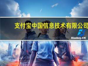 支付宝中国信息技术有限公司（迅维-中国信息技术有限公司简介）
