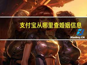 支付宝从哪里查婚姻信息