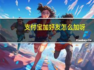 支付宝加好友怎么加呀（支付宝加好友怎么加）
