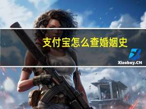 支付宝怎么查婚姻史