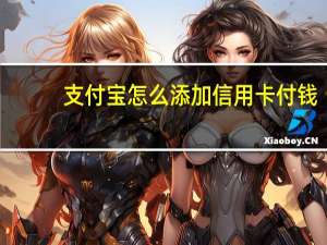 支付宝怎么添加信用卡付钱（如何使用信用卡给支付宝充值）