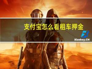 支付宝怎么看租车押金