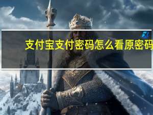 支付宝支付密码怎么看原密码（支付宝支付密码）