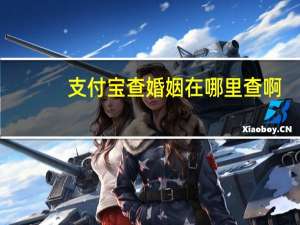 支付宝查婚姻在哪里查啊