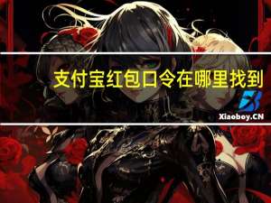 支付宝红包口令在哪里找到（支付宝红包口令在哪）