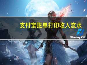 支付宝账单打印收入流水（支付宝账单打印）