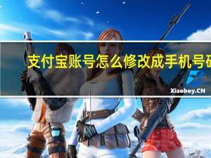 支付宝账号怎么修改成手机号码（支付宝账号怎么修改成手机号）