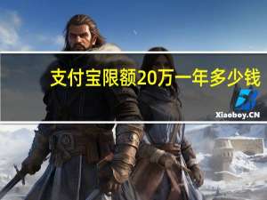 支付宝限额20万一年多少钱（支付宝限额20万一年）