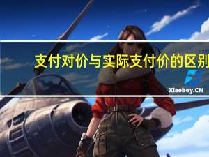 支付对价与实际支付价的区别