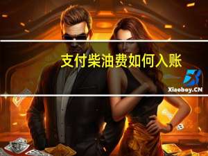 支付柴油费如何入账