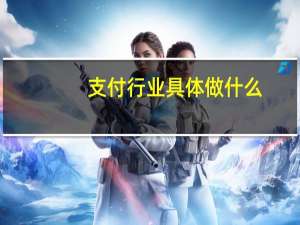 支付行业具体做什么