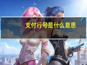 支付行号是什么意思