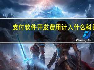 支付软件开发费用计入什么科目（软件开发费用计入什么科目）