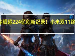 支付金额超224亿创新纪录！小米双11终极战报来了：第一拿到手软