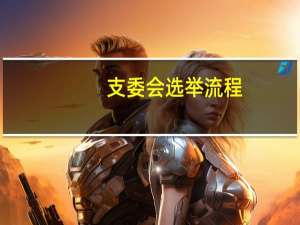 支委会选举流程