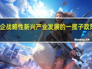 支持央企战略性新兴产业发展的一揽子政策将加快出台