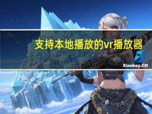 支持本地播放的vr播放器