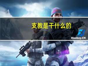 支教是干什么的