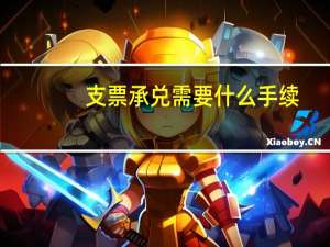 支票承兑需要什么手续