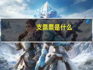 支票票是什么