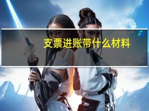 支票进账带什么材料