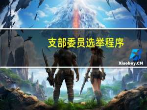 支部委员选举程序