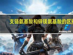 支链氨基酸和锌镁氨基酸的区别