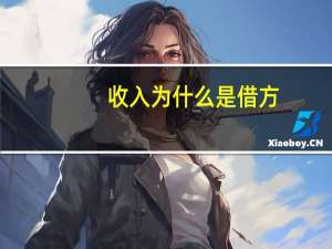 收入为什么是借方