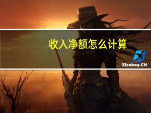 收入净额怎么计算