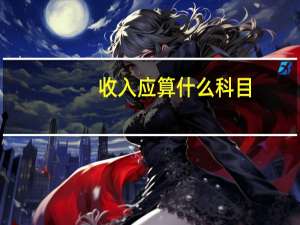 收入应算什么科目